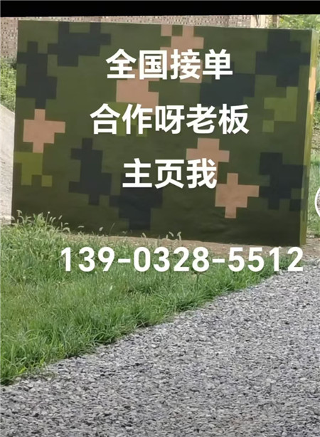 临沂专业迷彩漆施工：围墙防护数码漆